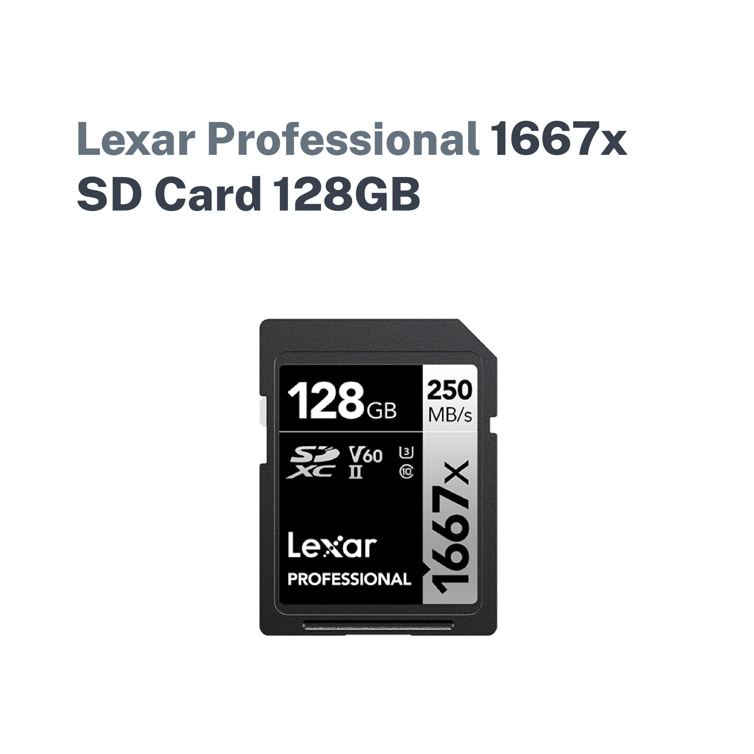 Lexar Professional 1667x SD Card
