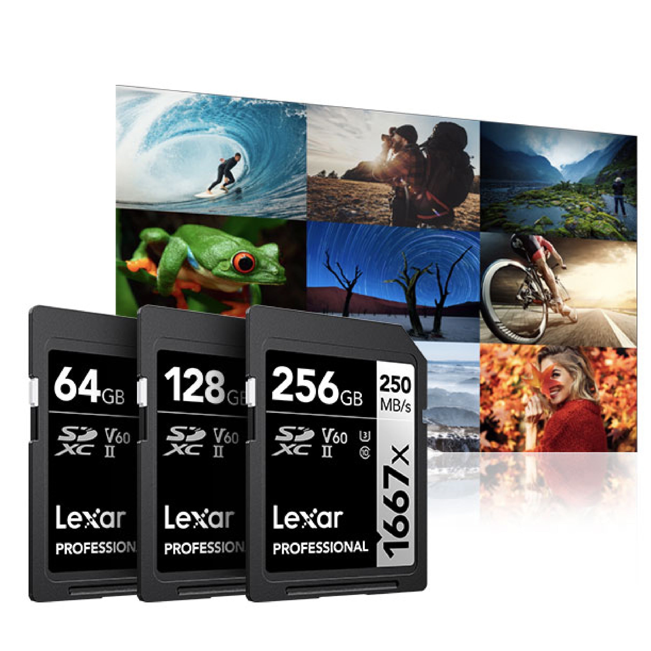 Lexar Professional 1667x SD Card