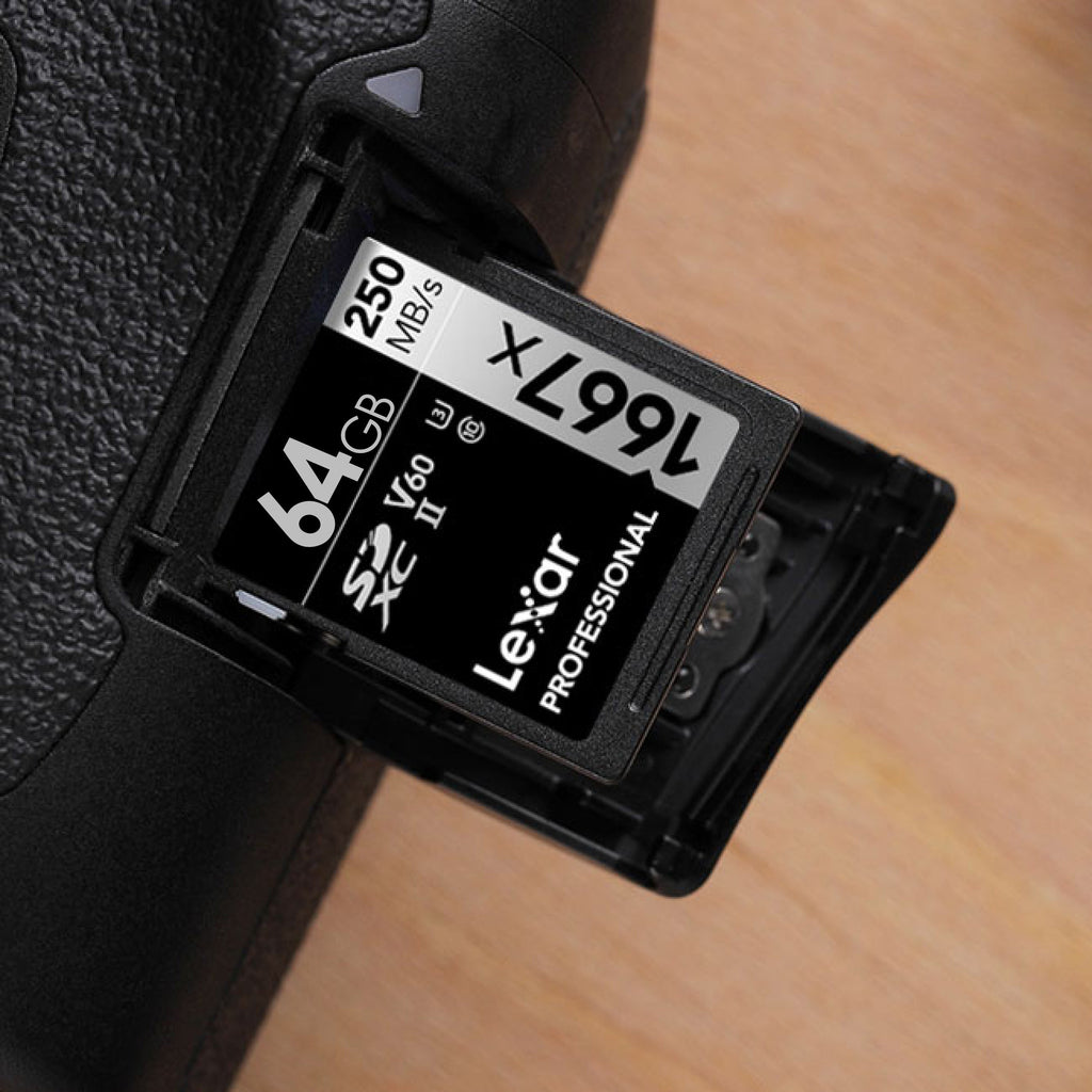 Lexar Professional 1667x SD Card