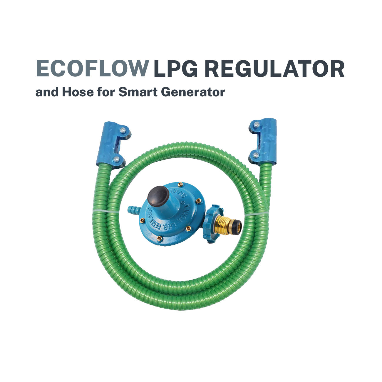 EcoFlow Tokina LPG Regulator & Hose for Smart Generator