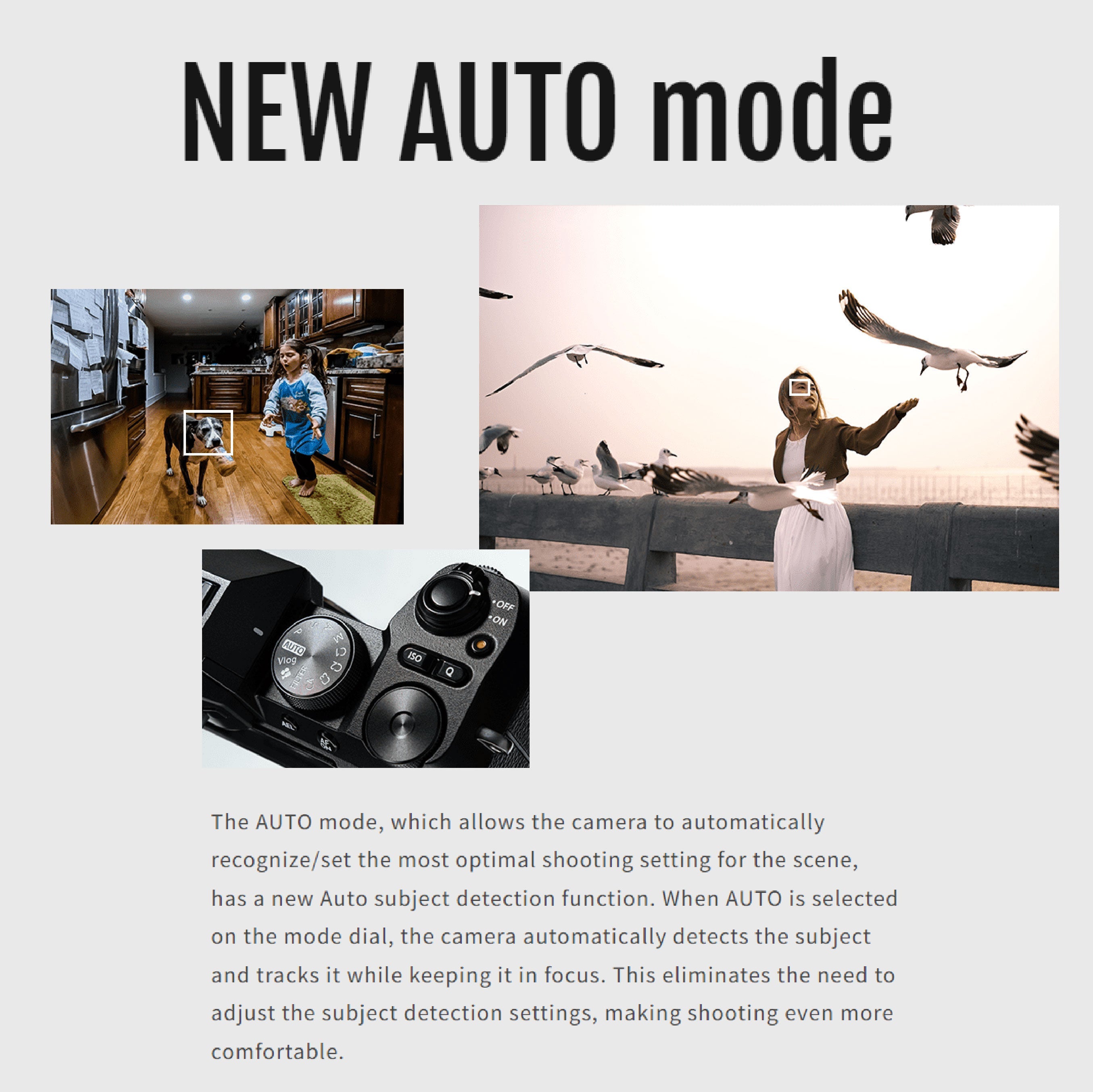 Fujifilm X-S20 Mirrorless Camera Body Only