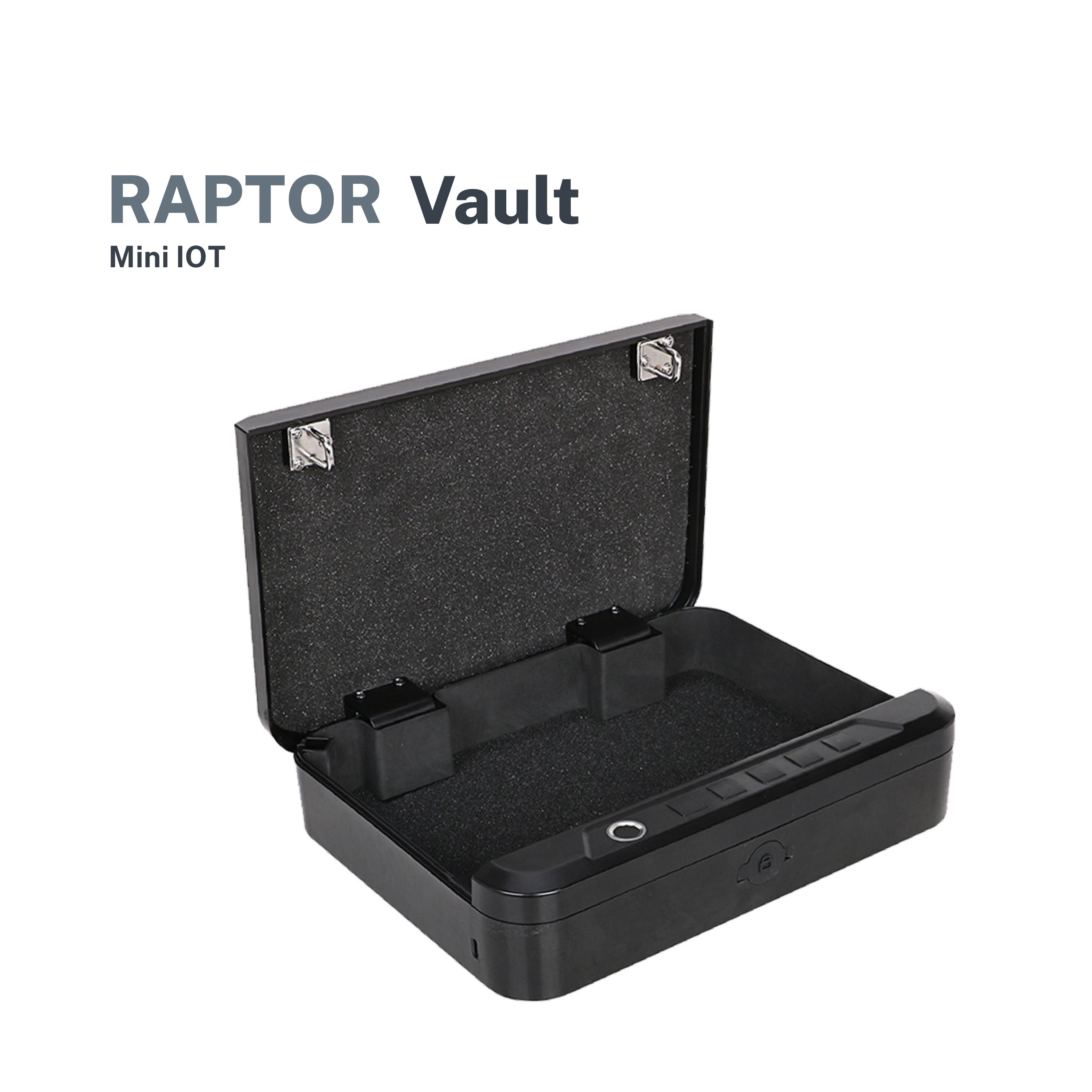 Raptor Case Vault Safe Fingerprint & Password Mini-Box (Black)