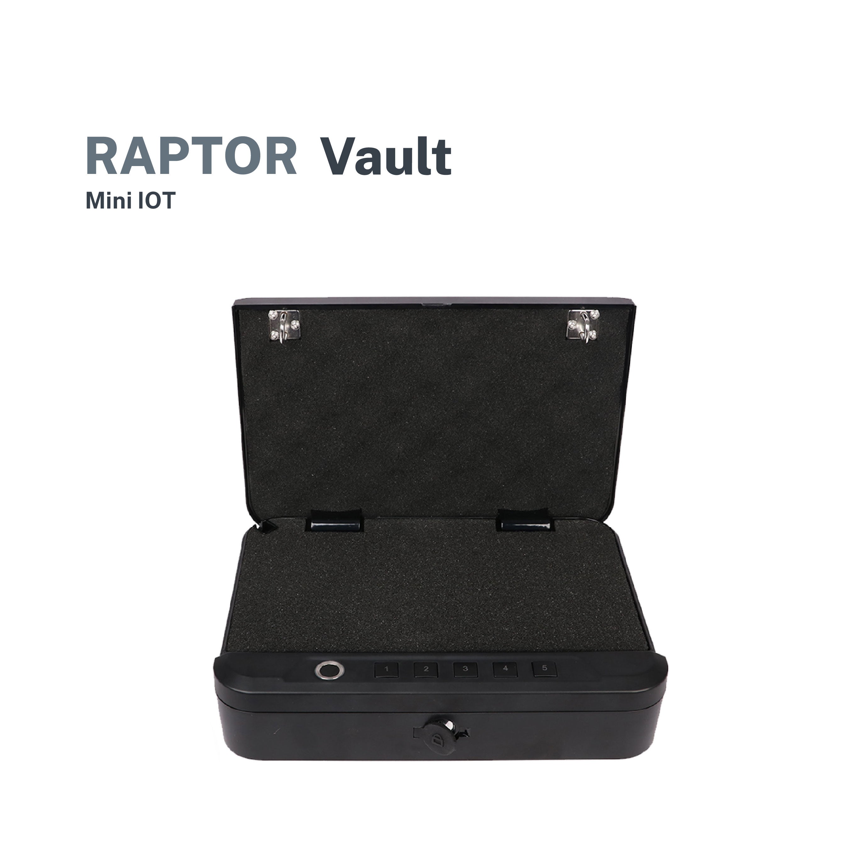 Raptor Case Vault Safe Fingerprint & Password Mini-Box (Black)