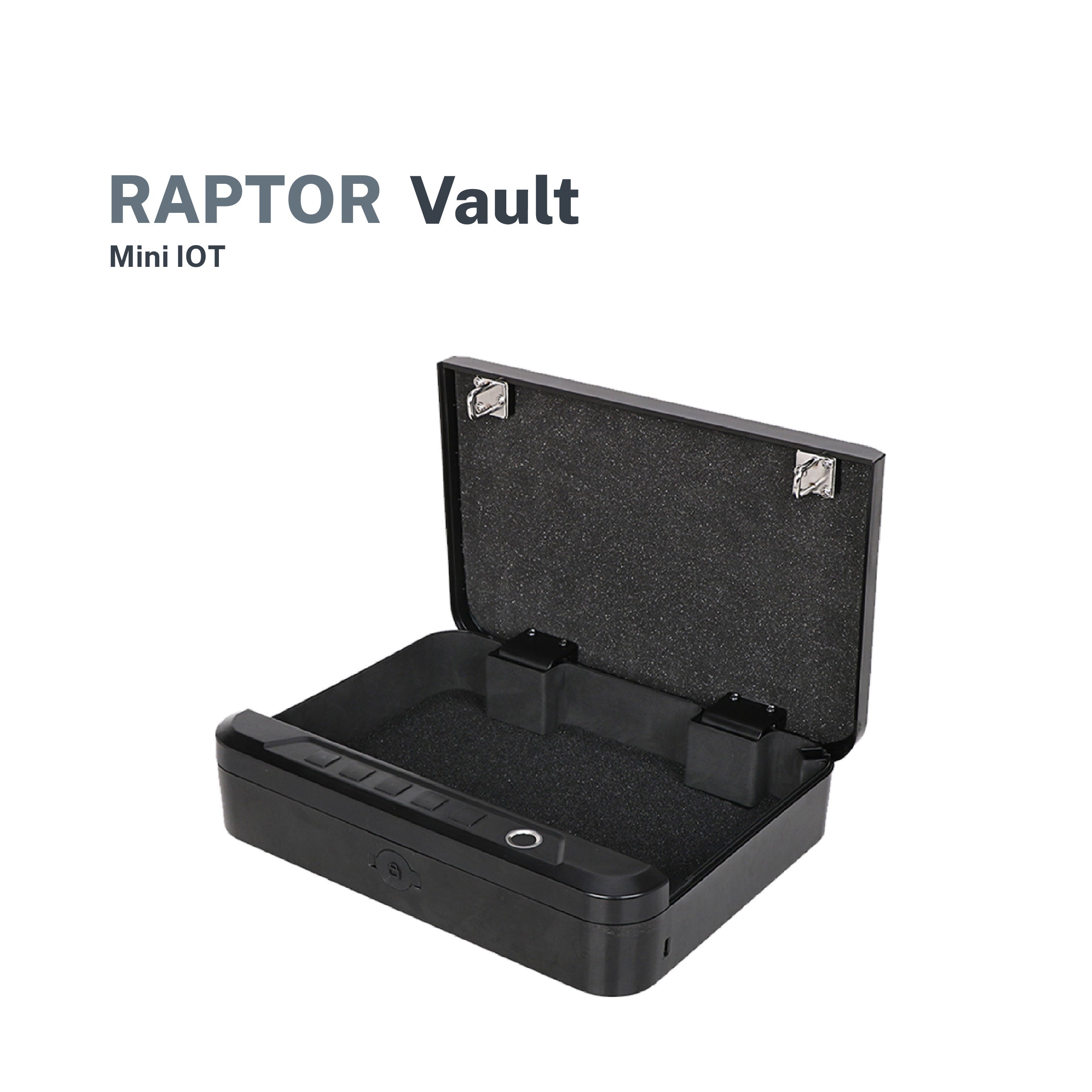 Raptor Case Vault Safe Fingerprint & Password Mini-Box (Black)