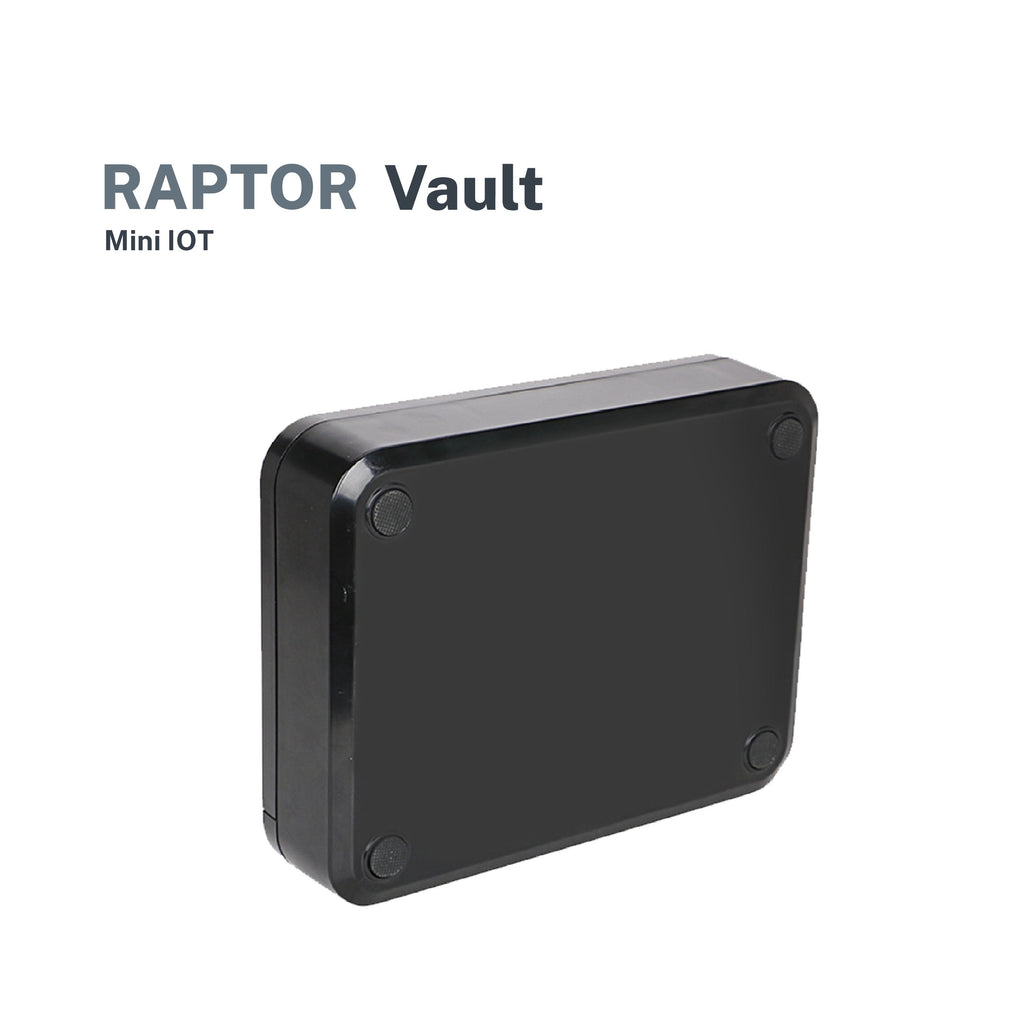 Raptor Case Vault Safe Fingerprint & Password Mini-Box (Black)
