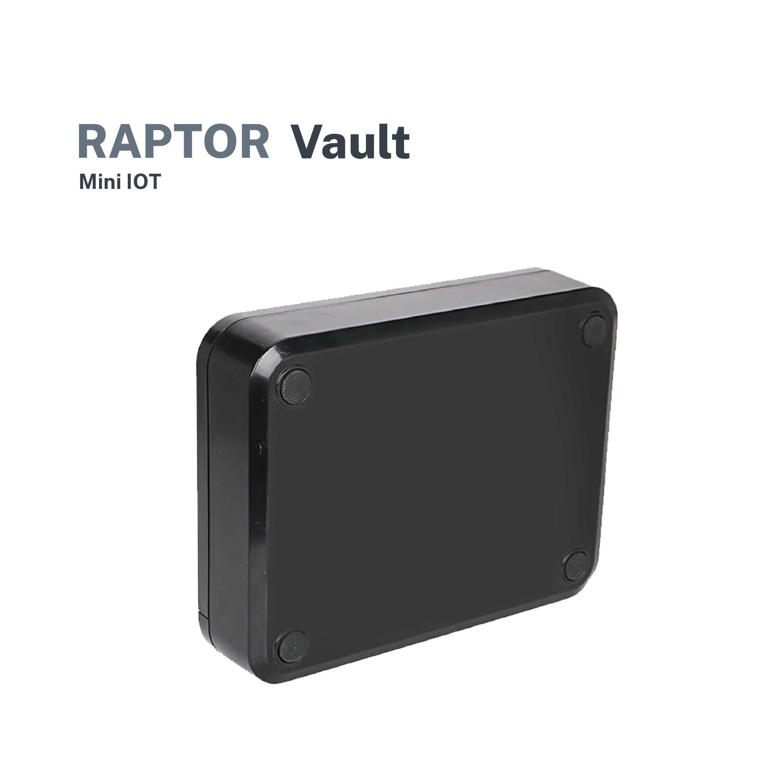 Raptor Case Vault Safe Fingerprint & Password Mini-Box (Black)