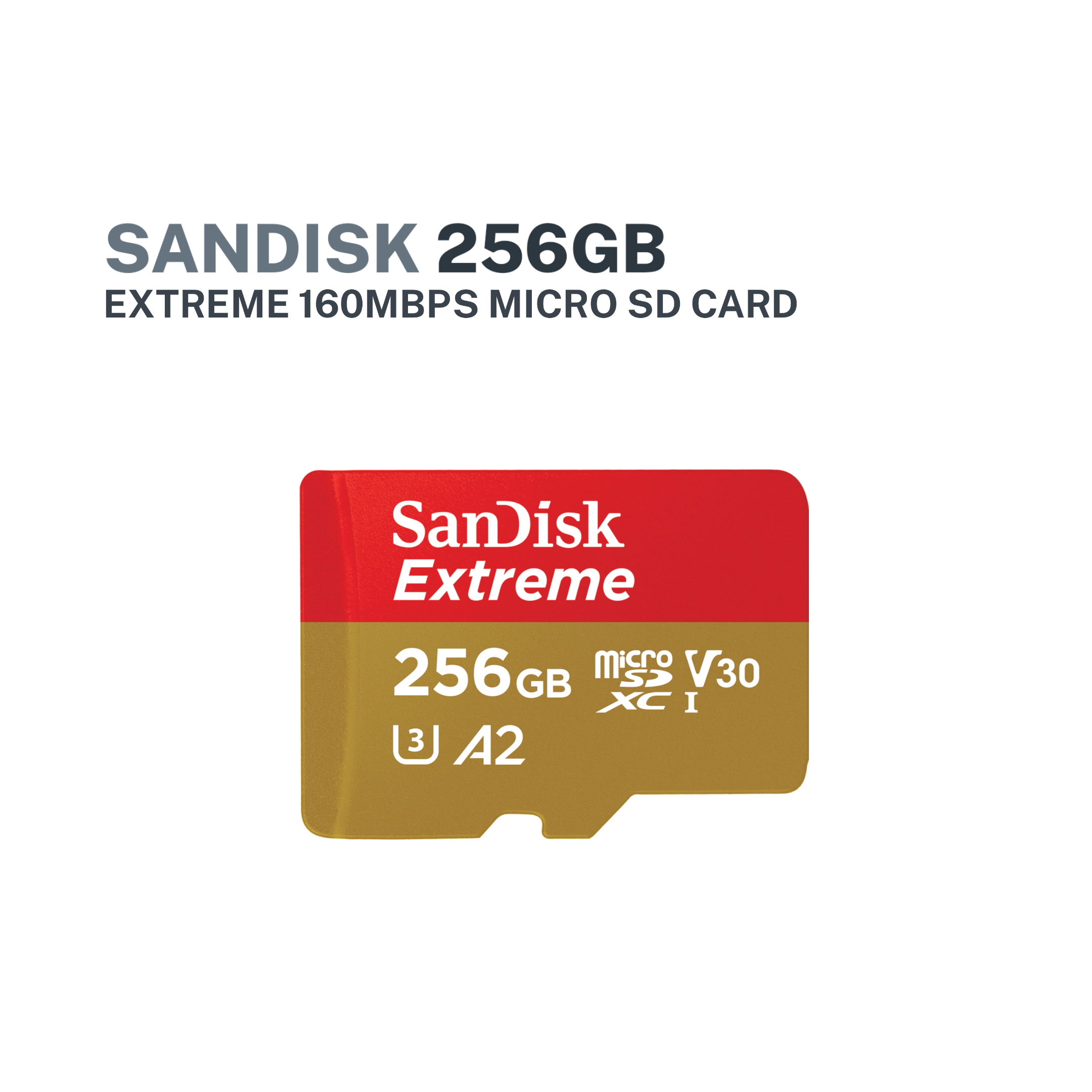 SanDisk Extreme UHS-I microSDXC Memory Card (64GB, 128GB, 256GB)